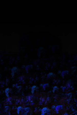 风景印花华亿平台图片