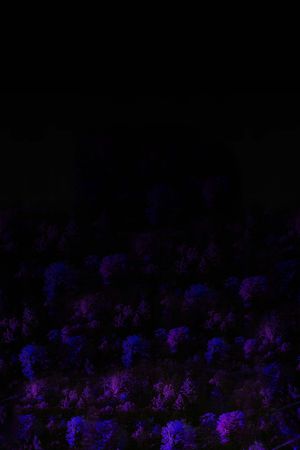 风景印花华亿平台图片