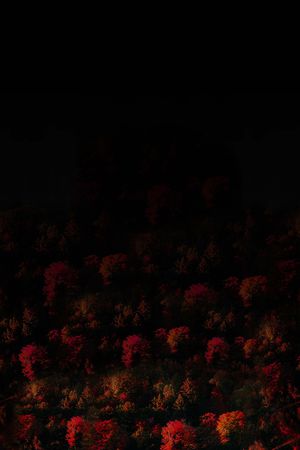 风景印花华亿平台图片