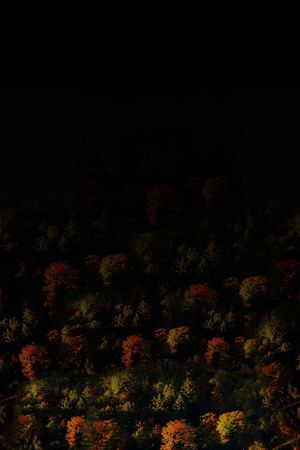 风景印花华亿平台图片