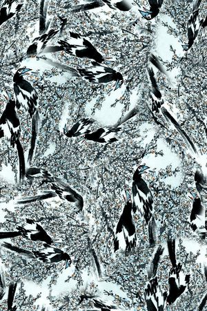 男装印花华亿平台图片