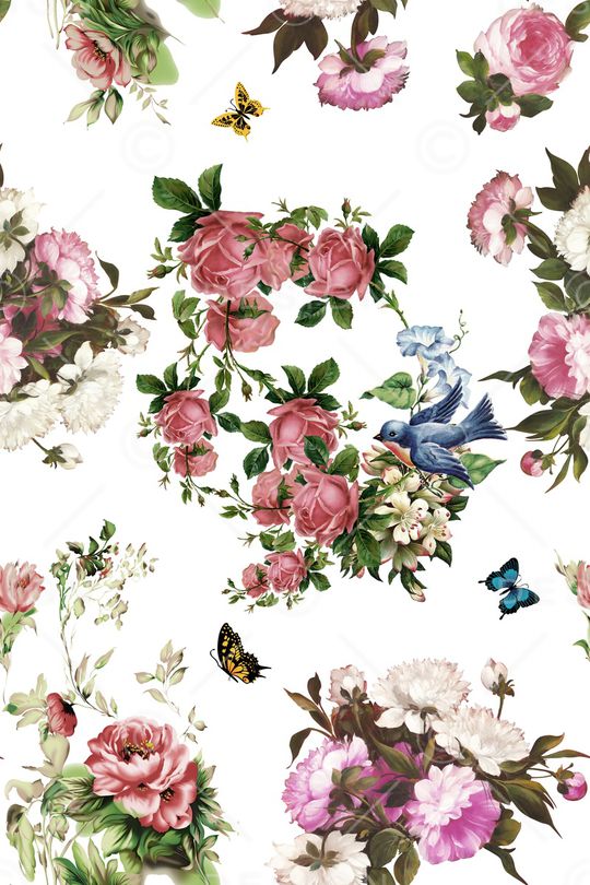 蝴蝶印花华亿平台图片