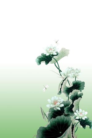 Fei-女装印花华亿平台图片