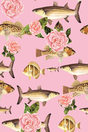 热带鱼印花华亿平台图片