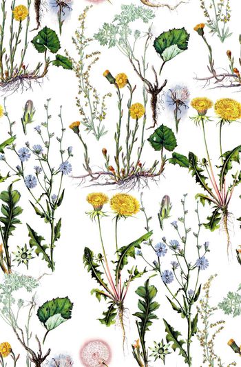 720449-复古植物花卉白底