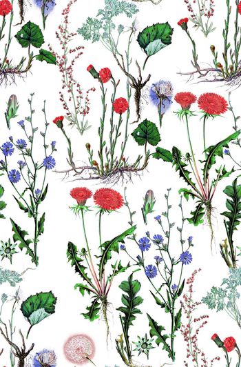 720450-复古植物花卉白底A