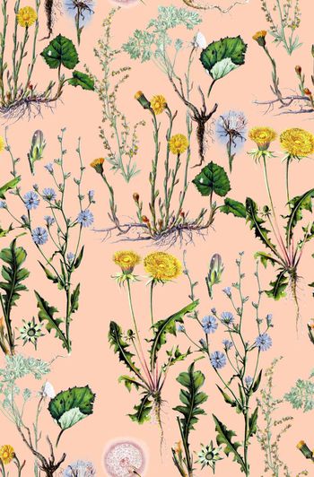 720452-复古植物花卉粉底