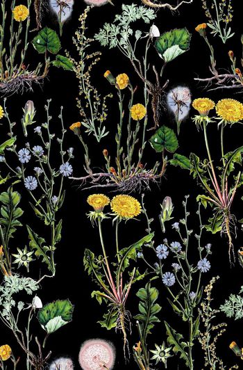 720453-复古植物花卉黑底