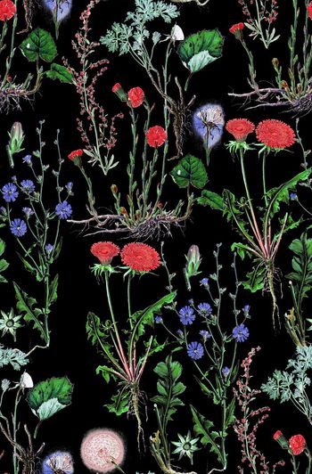 720454-复古植物花卉黑底A