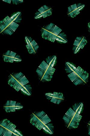 树叶印花华亿平台图片