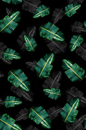 树叶印花华亿平台图片