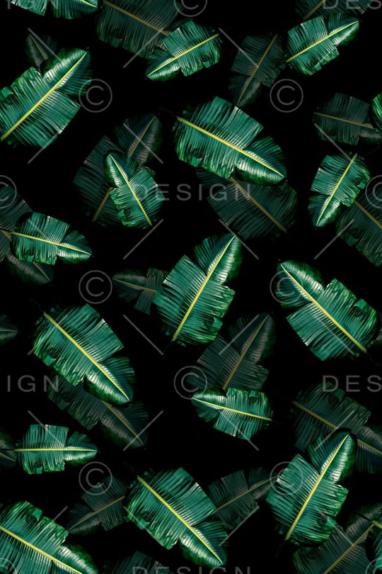 树叶印花华亿平台图片