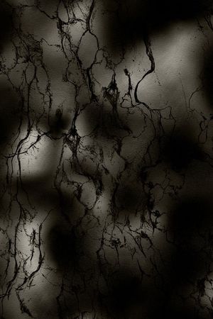 Fei-男装印花华亿平台图片