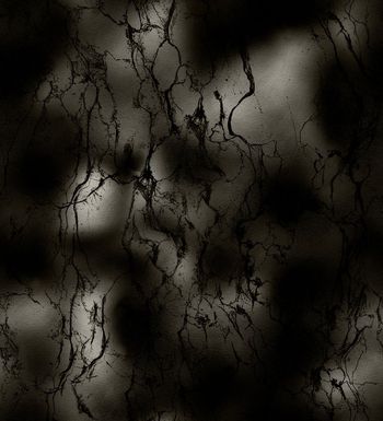 Fei-男装印花华亿平台图片