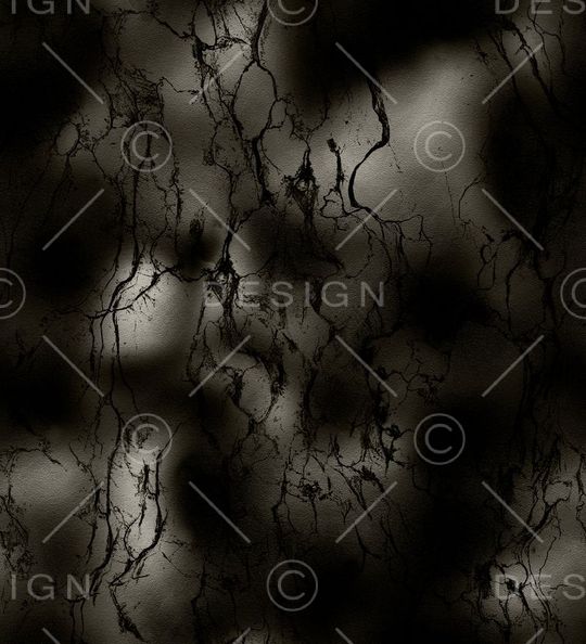 Fei-男装印花华亿平台图片