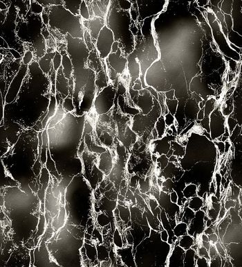 720793-fei-78445634445-1