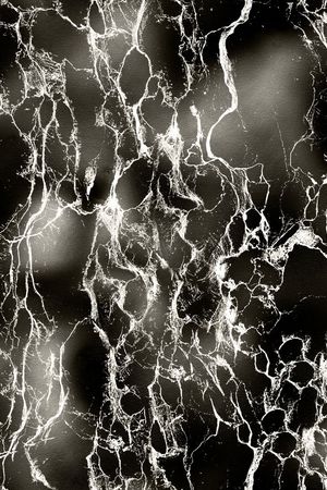 Fei-男装印花华亿平台图片