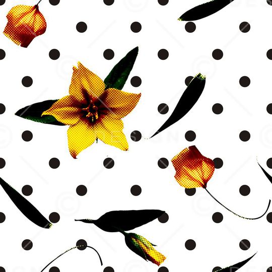 波点印花华亿平台图片