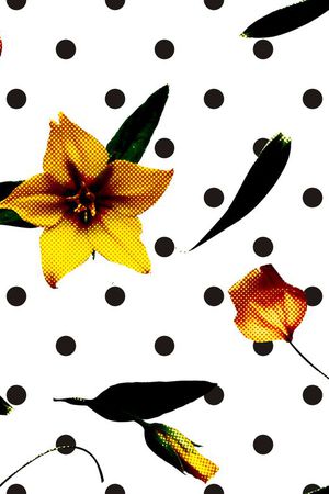 波点印花华亿平台图片