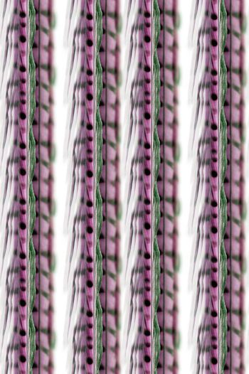 720951-wal-161007-1 (1)-