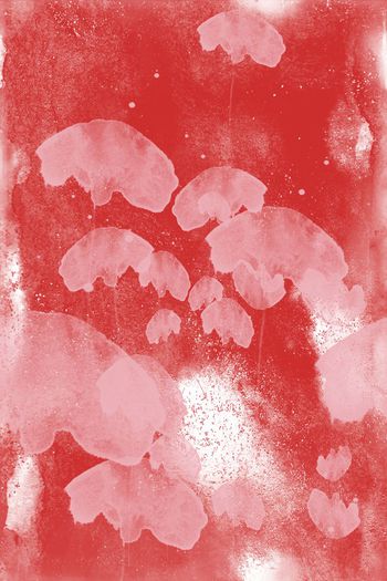 趣味印花华亿平台图片