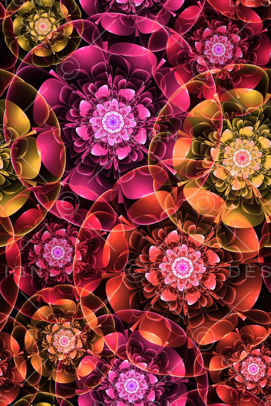 零点--女装印花华亿平台图片