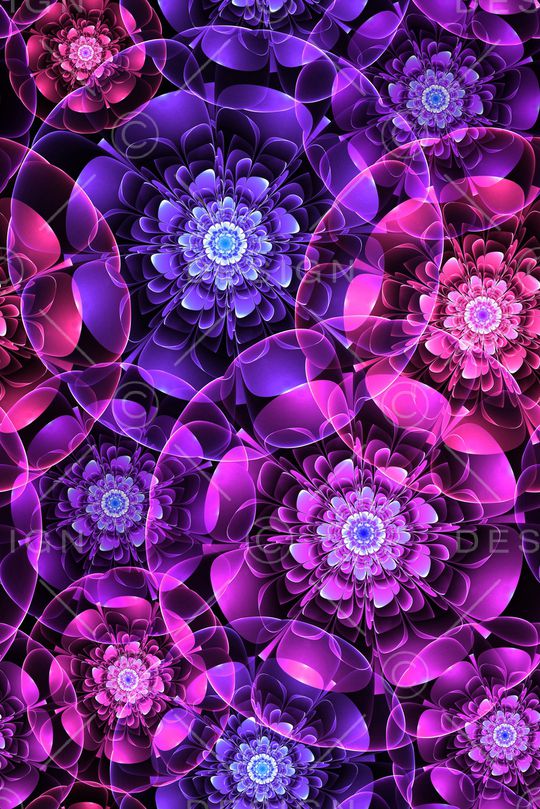 零点--女装印花华亿平台图片