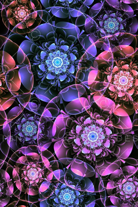 零点--女装印花华亿平台图片