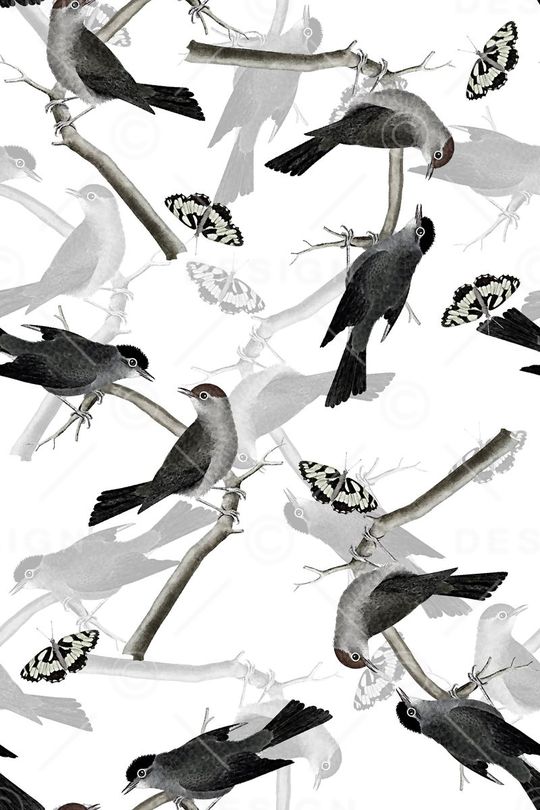 鸟印花华亿平台图片