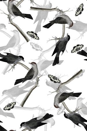 鸟印花华亿平台图片