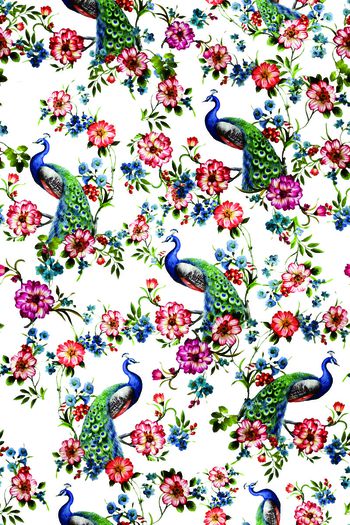 721041-2016-10-10花卉孔雀1