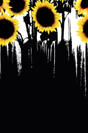 向日葵印花华亿平台图片