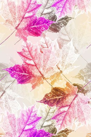 热带印花华亿平台图片