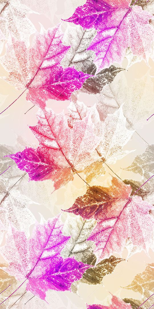 热带印花华亿平台图片