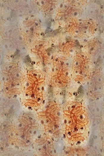 721649-160914-nzhh-3-1