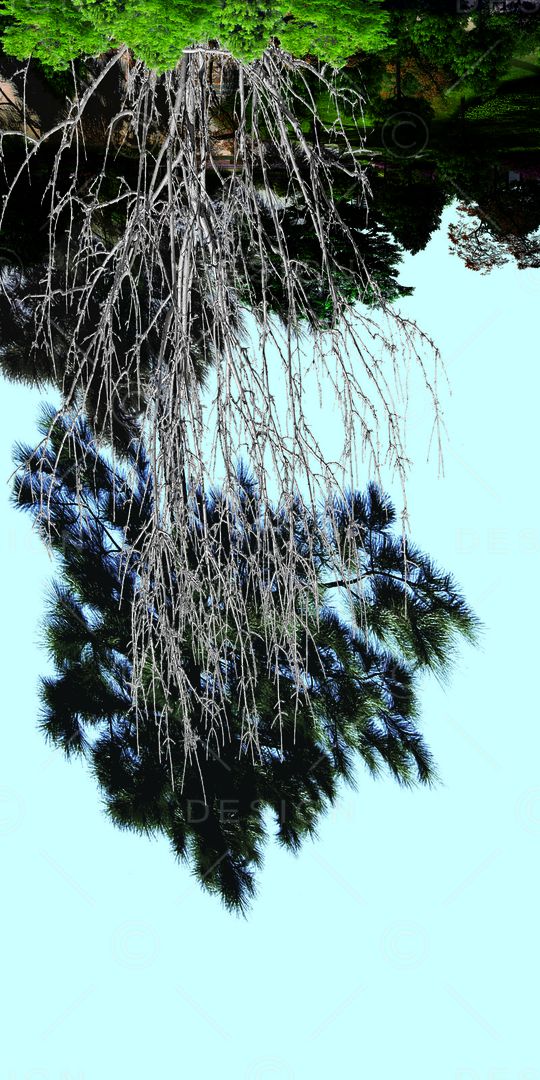 树林印花华亿平台图片