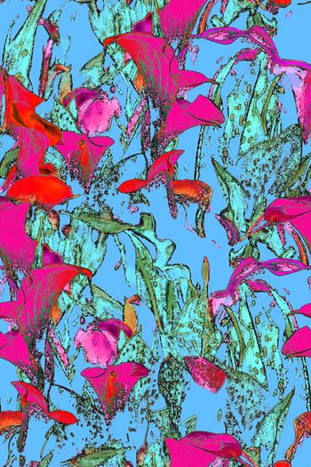 721924-斑斓的色彩65b