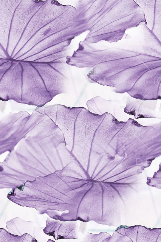 荷叶印花华亿平台图片