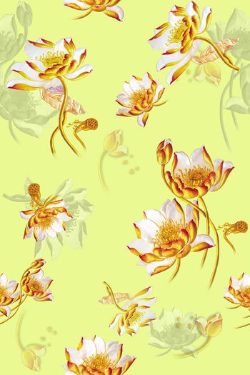 722058-1013金荷花01