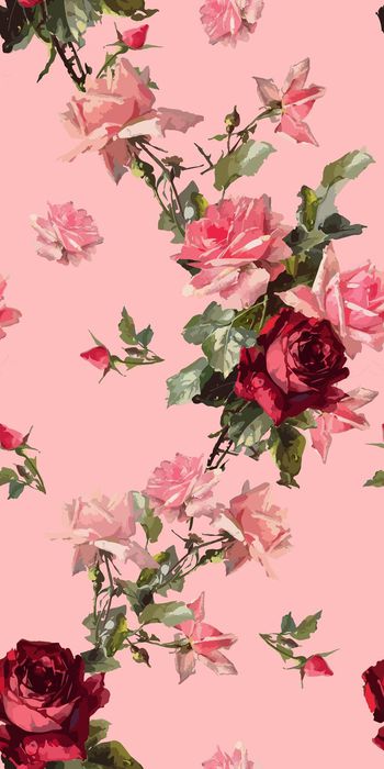 722121-玫瑰玫瑰1