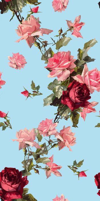 722122-玫瑰玫瑰2