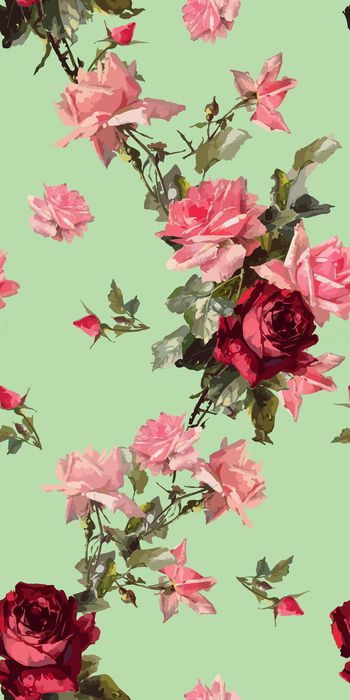 722123-玫瑰玫瑰3