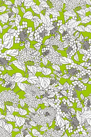 秋冬印花华亿平台图片