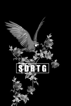 花鸟印花华亿平台图片