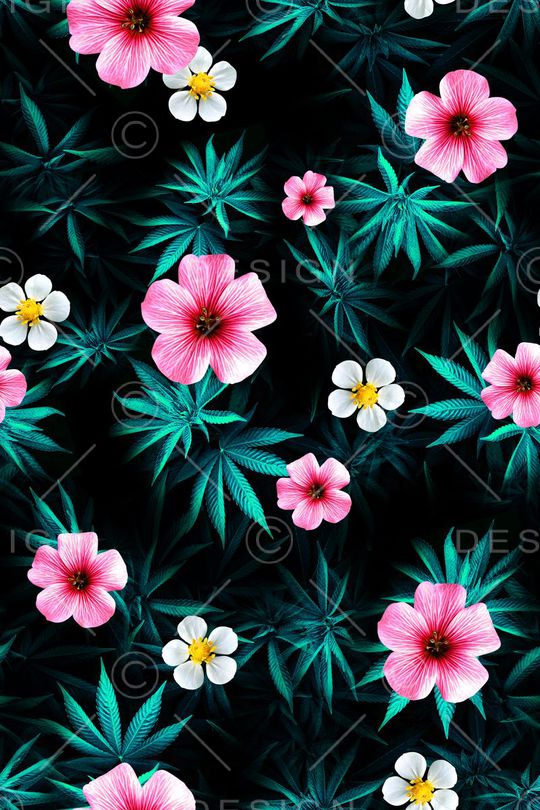 女装印花华亿平台图片