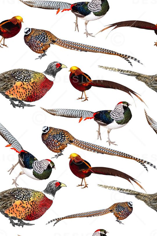 手绘印花华亿平台图片