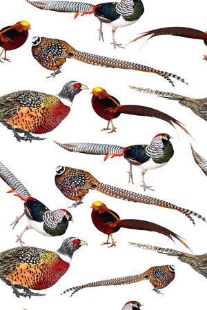 手绘印花华亿平台图片