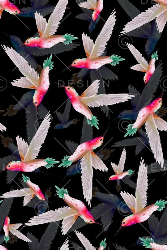 百鸟图印花华亿平台图片