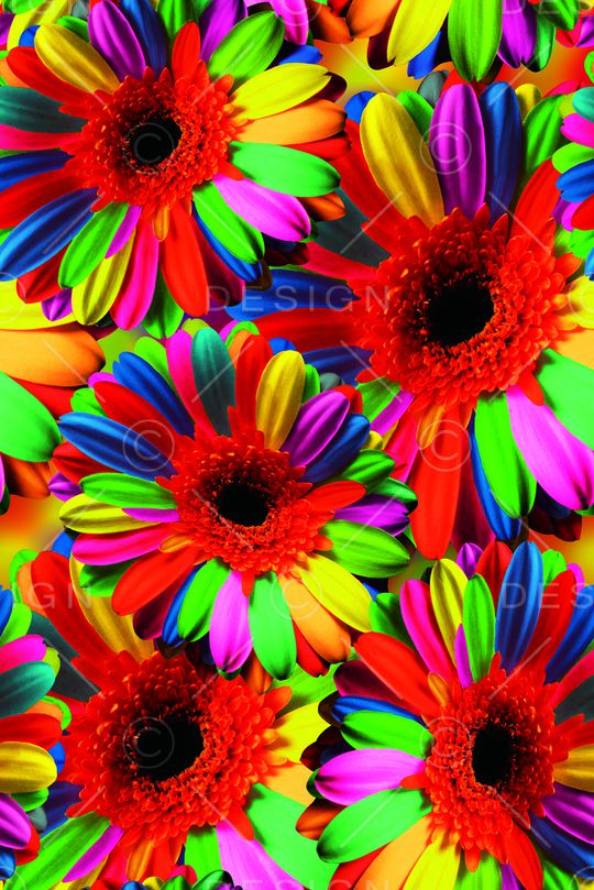 抽象手绘水彩3D菊花花朵数码印花印花华亿平台图片