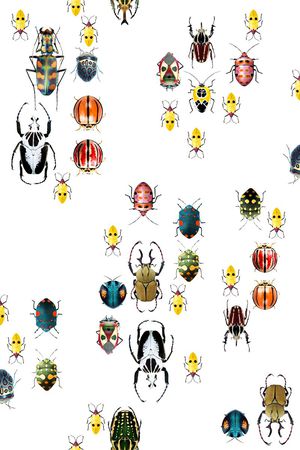 昆虫印花华亿平台图片